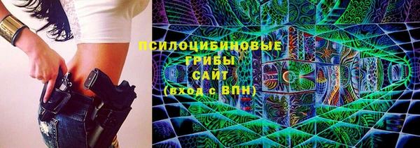 стаф Алзамай