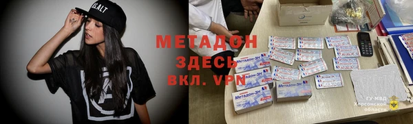 стаф Алзамай