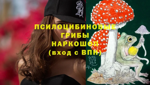 стаф Алзамай