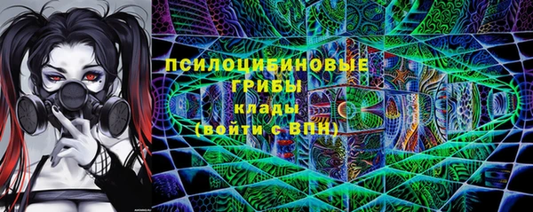 стаф Алзамай