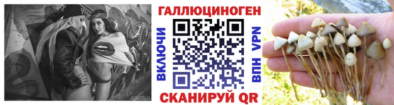Псилоцибиновые грибы мицелий  купить  сайты  мега ТОР  Козловка 
